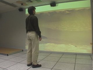 Shadow Removal & Occlusion Detection in Front Projection Environments