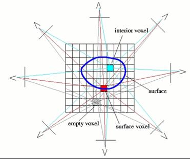 Dynamic View Synthesis