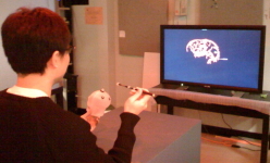 Multiview lenticular display
